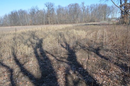 Property photo 22 - East Allen County - 55 Acre Land Auction